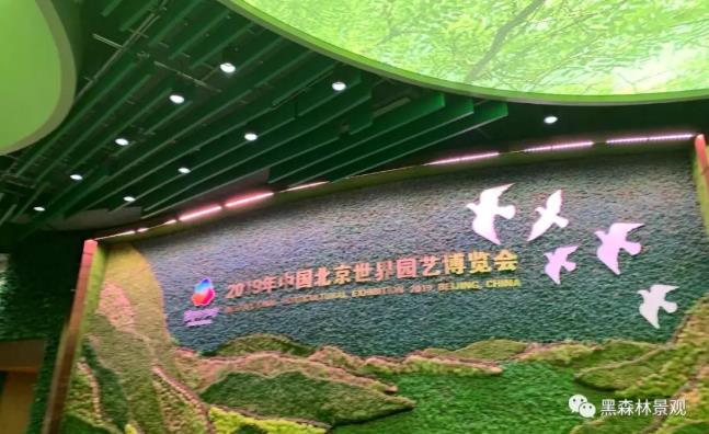 【黑森林动态】相约世园会，感知生活美