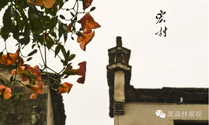 【黑森林游记】——皖南印象